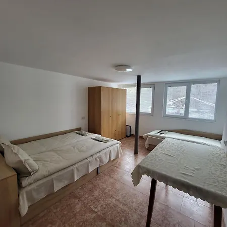 елиани * Gabrovo